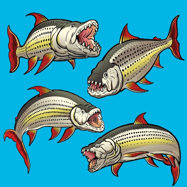 Conjunto de goliath tigerfish para colección de gamefish | Vector Premium