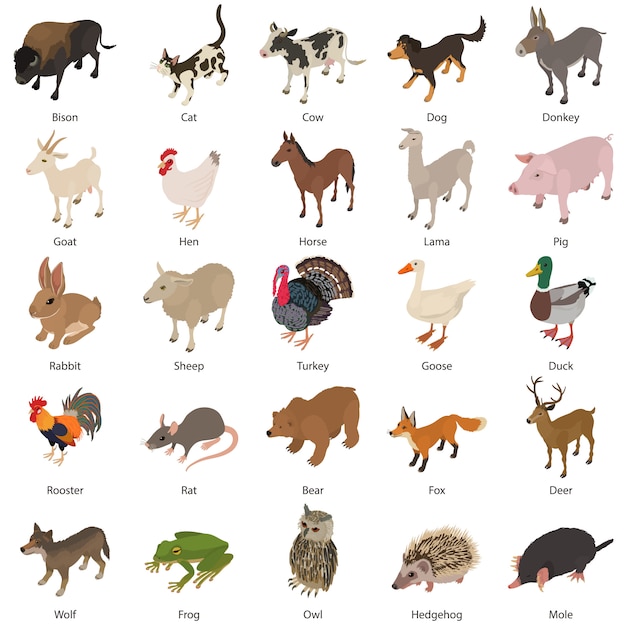 Conjunto de iconos de colección de animales. ilustración isométrica de 25 iconos de vector de colección de animales para web Vector Premium