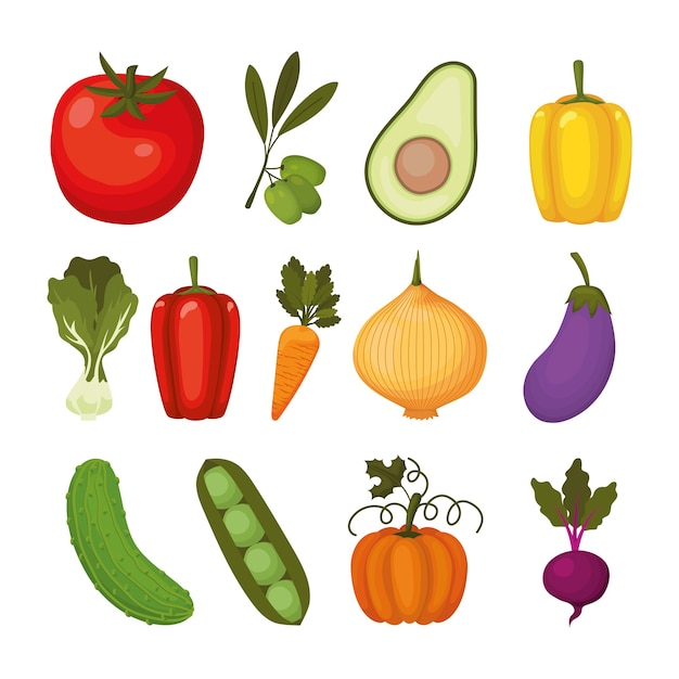 Conjunto de iconos de verduras en un diseño de ilustración blanca