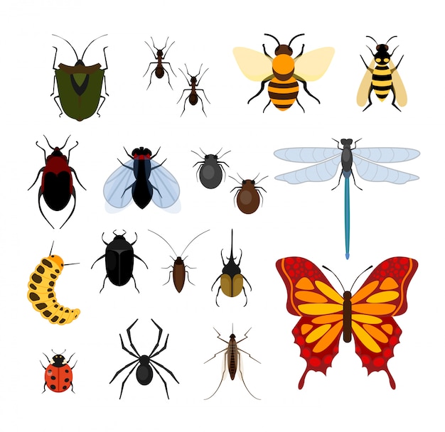 Conjunto de ilustración de diferentes tipos de insectos en los iconos e