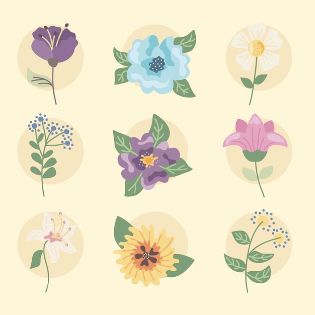 Conjunto De Imagenes Predisenadas De Flores Vector Premium