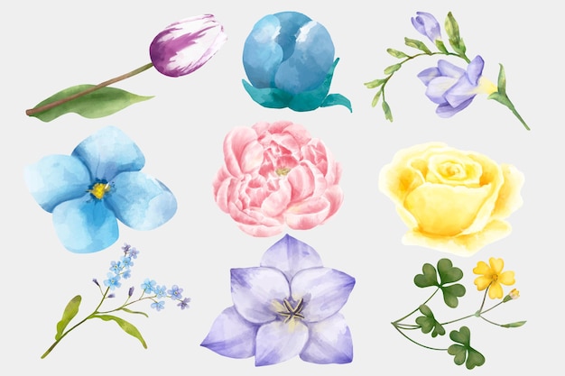 Conjunto De Imagenes Predisenadas De Vector De Flores De Acuarela Vector Gratis