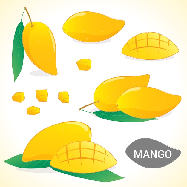 Conjunto De Mango En Formato Vectorial De Varios Estilos Vector Premium