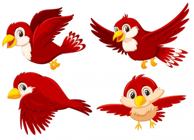 Conjunto de pájaros rojos lindos Vector Premium