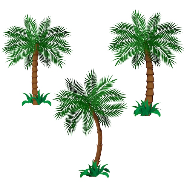 Conjunto De Palmera Descargar Vectores Gratis Illustrator Graficos My