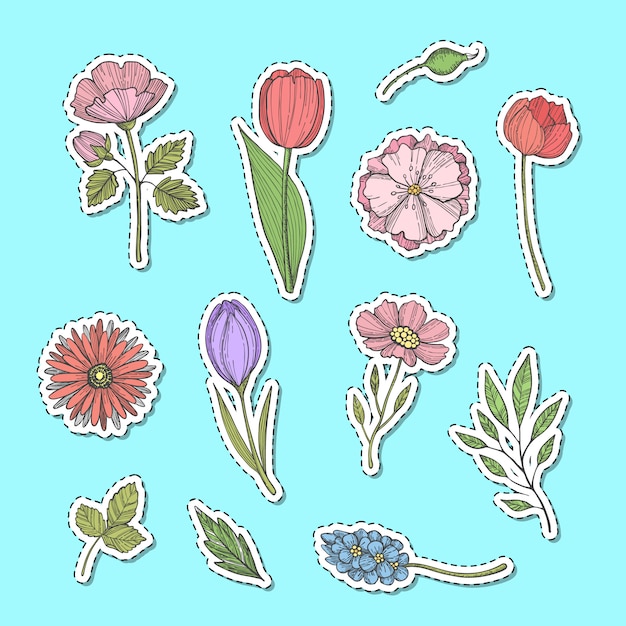 Conjunto De Pegatinas De Flores Dibujadas A Mano Vector Premium 1217