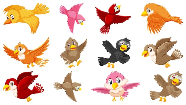 Conjunto De Personaje De Dibujos Animados De Aves Vector Premium