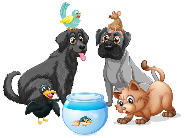 Conjunto De Personaje De Dibujos Animados De Mascotas Vector Premium
