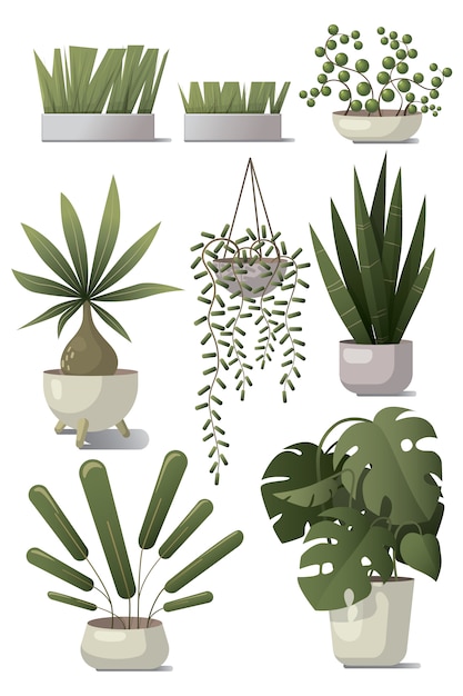 Conjunto De Plantas Caseras Vector Premium