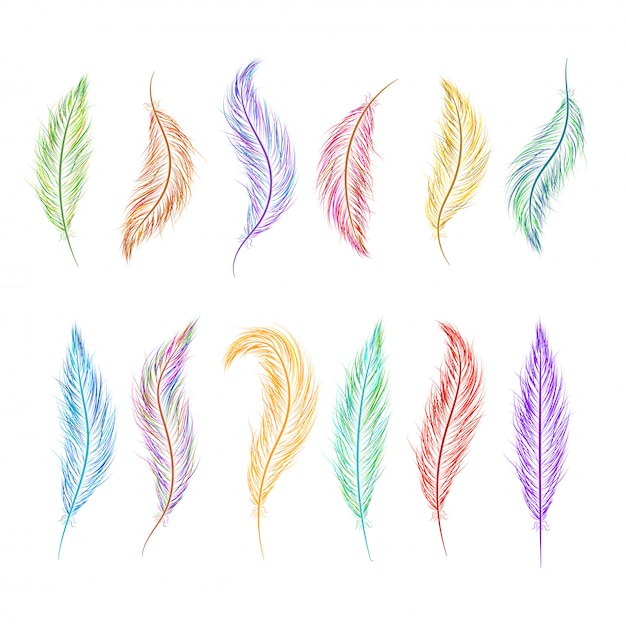 Conjunto De Plumas Pintadas A Mano En Diferentes Colores Vector Premium