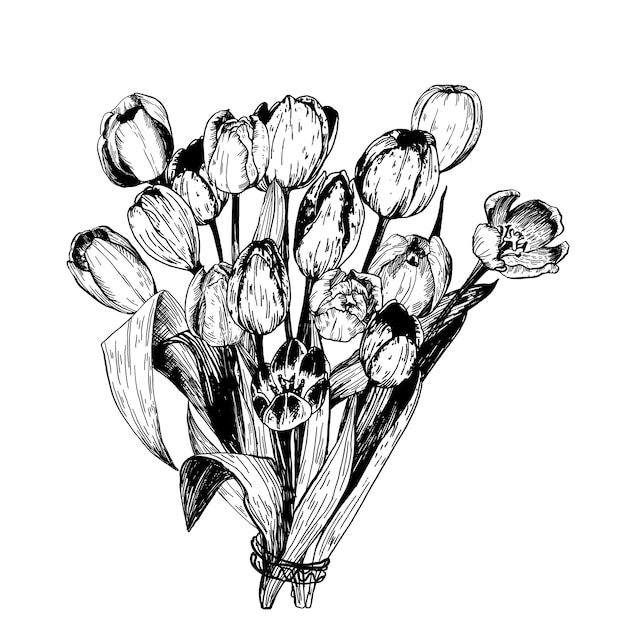 Conjunto De Ramas De Tulipanes De Flores De Primavera Ilustración De