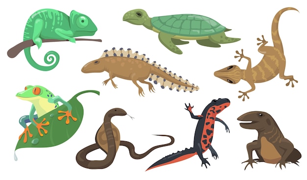 REPTILES