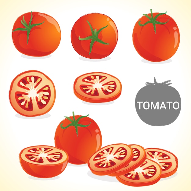 Conjunto De Tomate En Varios Estilos De Formato Vectorial Vector Premium 8889