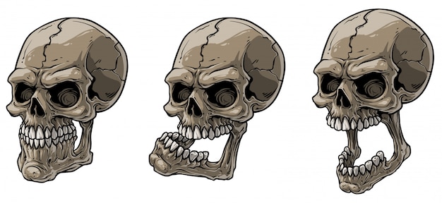 Featured image of post Dibujo De Calavera Realista Conocer s como poder dibujar una calavera realista a l piz paso a paso peor primero comenzaremos con un tutorial b sico