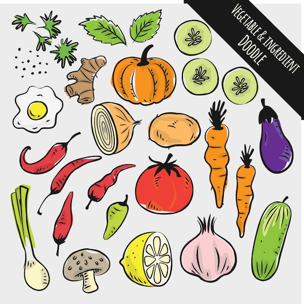 Conjunto De Vegetales Y Ingrediente Doodle Vector Premium