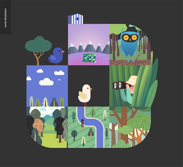 Cosas simples - composición del conjunto forestal Vector Premium