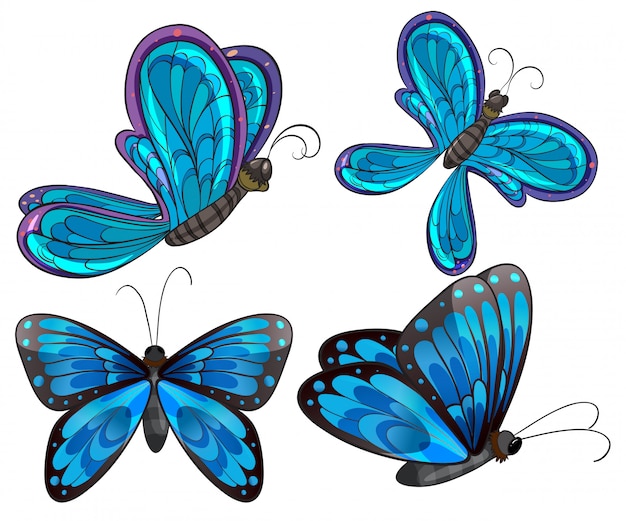 Mariposas Vectoriales Fotos Y Vectores Gratis