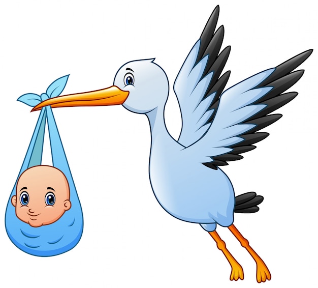 Cute Dibujos Animados Una Ciguena Volando Con Baby Boy Vector Premium