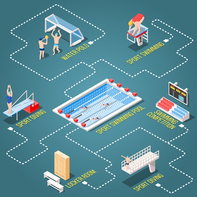 Diagrama de flujo isométrico de disciplinas de natación Vector Gratis