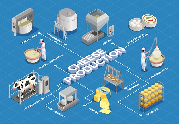 El Diagrama De Flujo Isométrico De Producción De Queso Ilustra El Proceso Desde El Rendimiento 1192