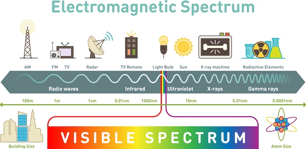Diagrama de infografía de espectro electromagnético Vector Premium 