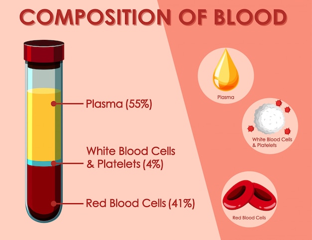 Diagrama que muestra la composición de la sangre. | Vector Gratis