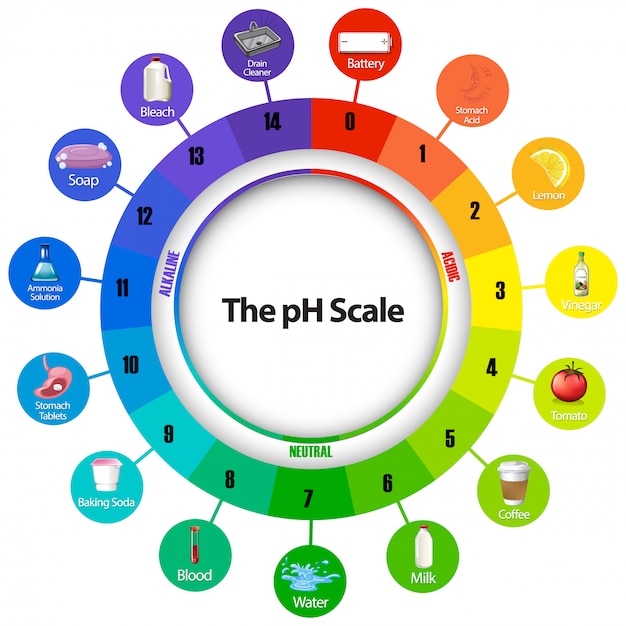 Imagenes Escala De Ph La Escala De Ph Diagrama De Carta De Color De