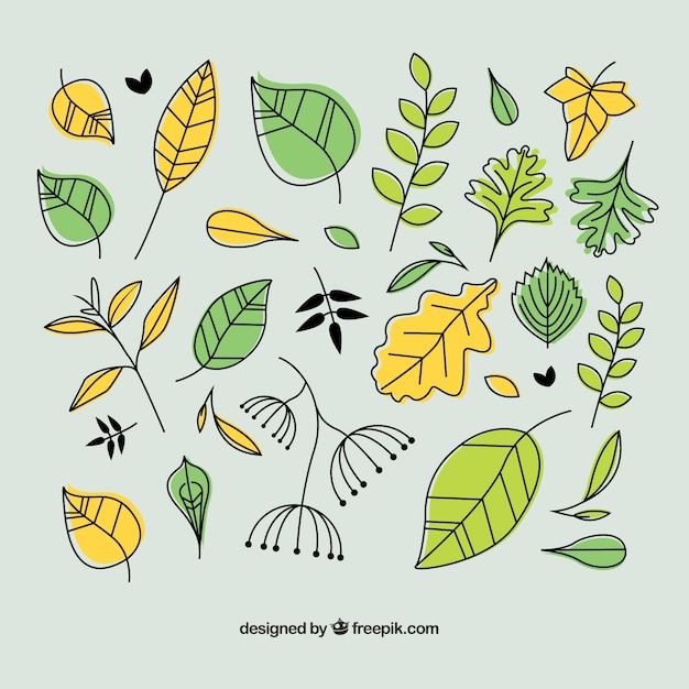 Dibujado a mano hojas verdes | Descargar Vectores gratis