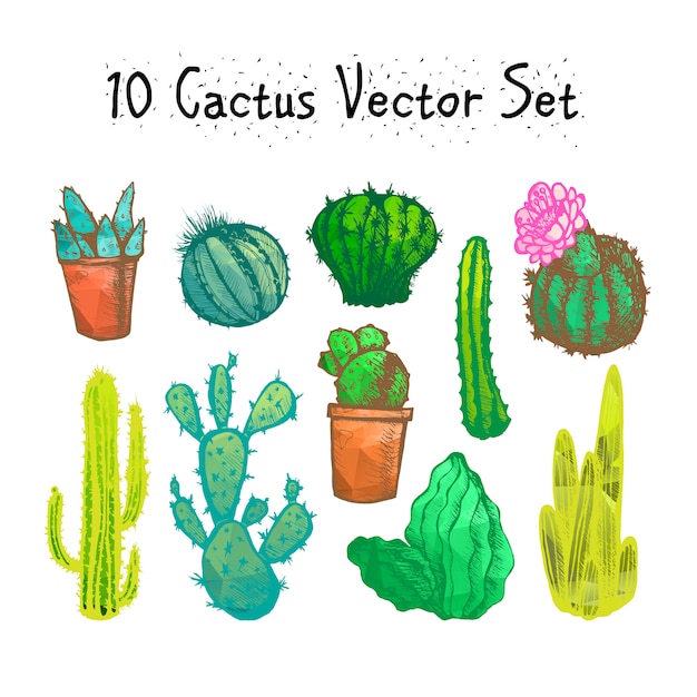 Dibujado A Mano Conjunto De Cactus Aislados Vector Premium