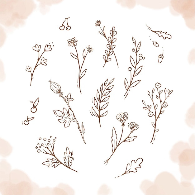 Dibujado A Mano Plantas Vintage Flores Elementos Florales Vector Premium