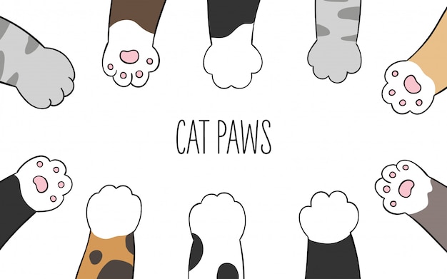 Dibujar patas de gato de banner de diseño de personajes vectoriales ...