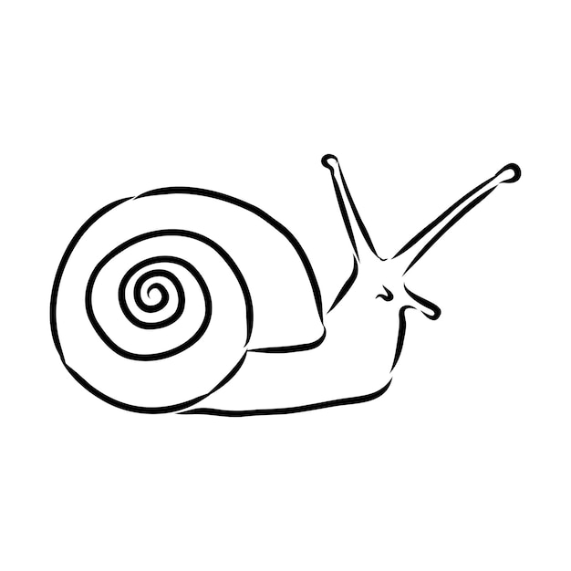 Dibujo de un caracol a mano boceto de ilustración vectorial Vector Premium