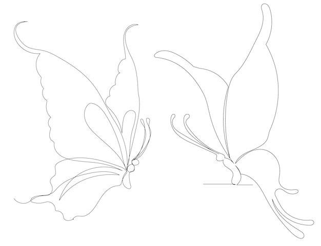 Dibujo De Mariposa Por Un Boceto De L Nea Continua Aislado Vector