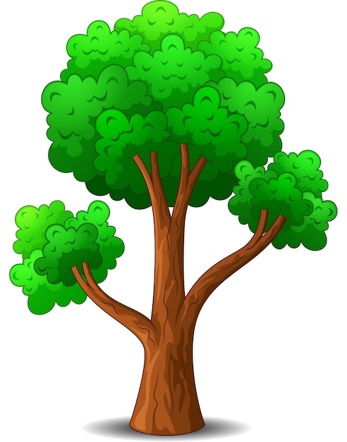 Arbol De Dibujos Animados Aislado Sobre Fondo Blanco Vector Premium Images