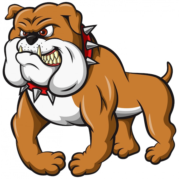 Dibujos Animados De Bulldog Enojado Ilustracion Vector Premium