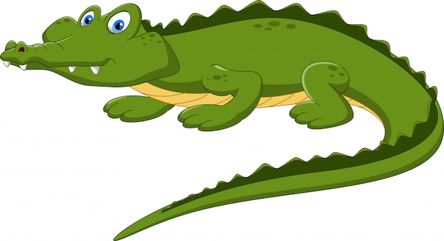 Caiman Juguete | Vectores, Fotos de Stock y PSD Gratis