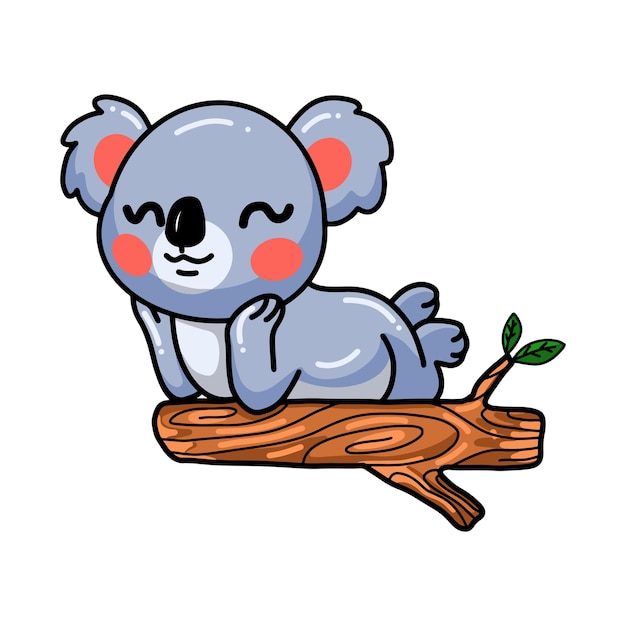 Dibujos Animados De Koala Bebe En La Rama De Un Arbol Aislado En Blanco Vector Premium