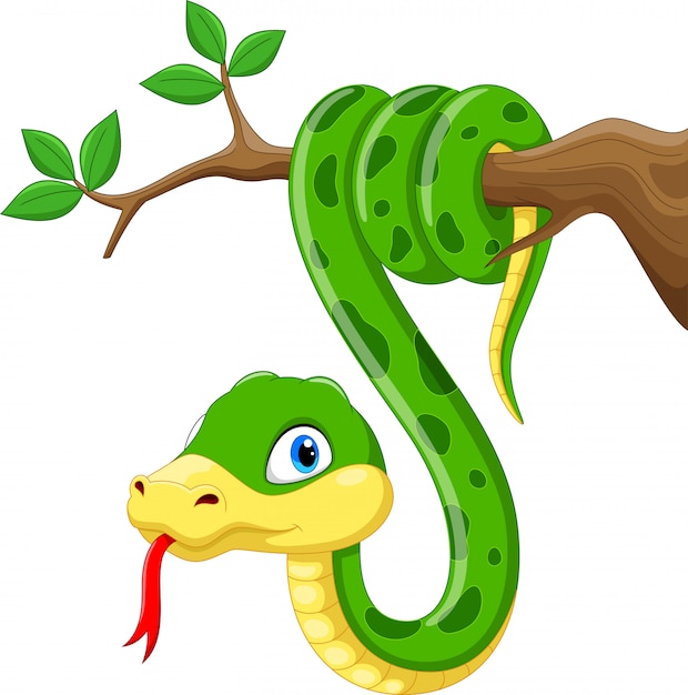 Dibujos animados lindo serpiente verde en rama | Vector Premium