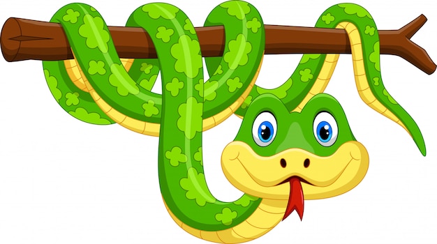 Dibujos Animados Lindo Serpiente Verde En Rama Vector Premium