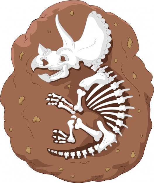 Dibujos animados triceratops fósiles Vector Premium
