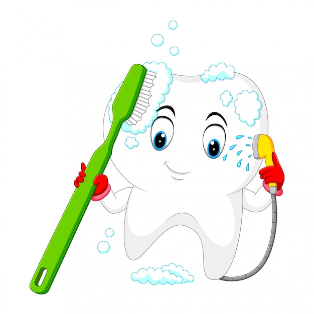 Diente se lava con un cepillo de dientes. Vector Premium