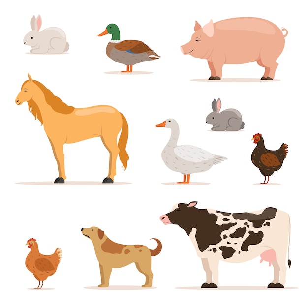 Diferentes animales domésticos en granja. | Vector Premium