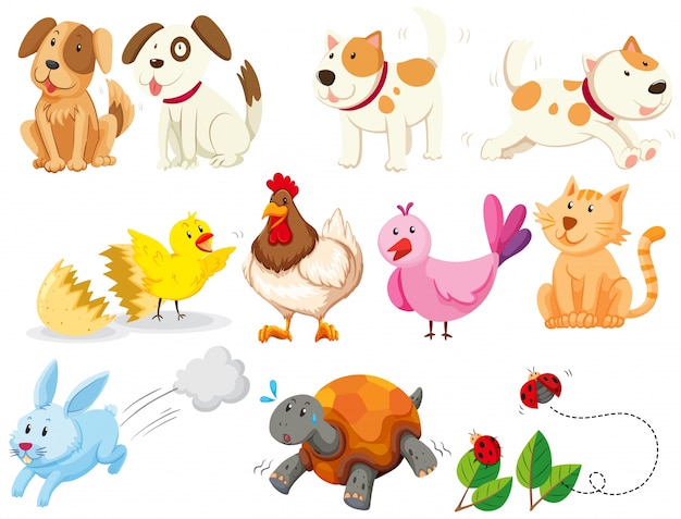 Diferentes tipos de animales domésticos ilustración | Vector Gratis