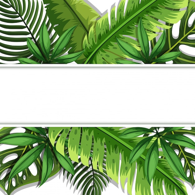 Diseño de banner con hojas verdes en el fondo Vector Premium