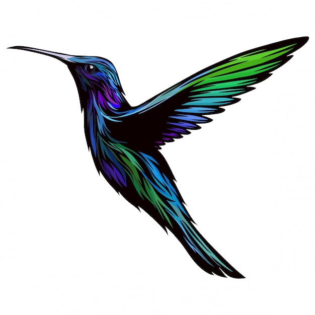 Diseño de colibrí Vector Premium