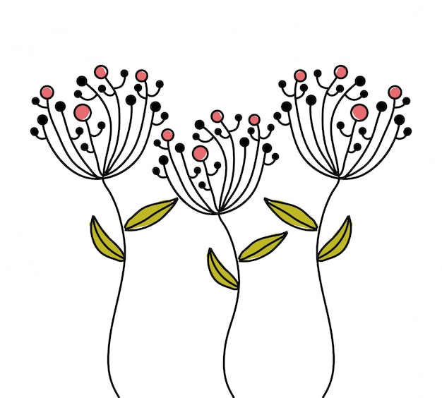 Diseno De Flores Sobre Fondo Blanco Ilustracion Vectorial Vector Premium