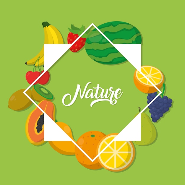 Diseno Grafico Del Ejemplo Del Vector De La Historieta De Las Frutas De Naturaleza Vector Premium