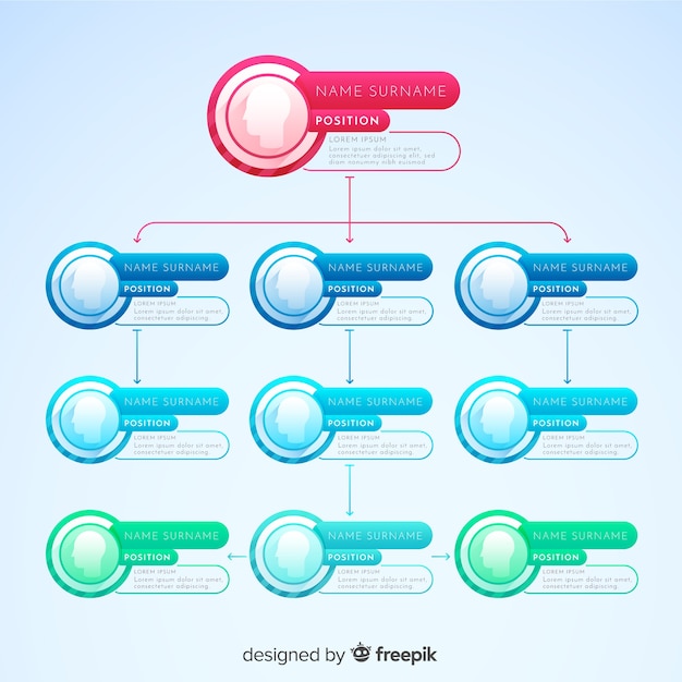 Dise O De Organigrama Vector Gratis