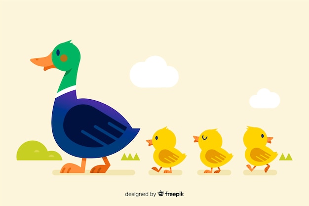 Diseño plano madre pato y patitos Vector Premium