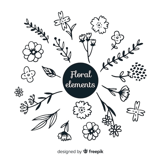 Elementos Decorativos Florales Dibujados A Mano Vector Gratis